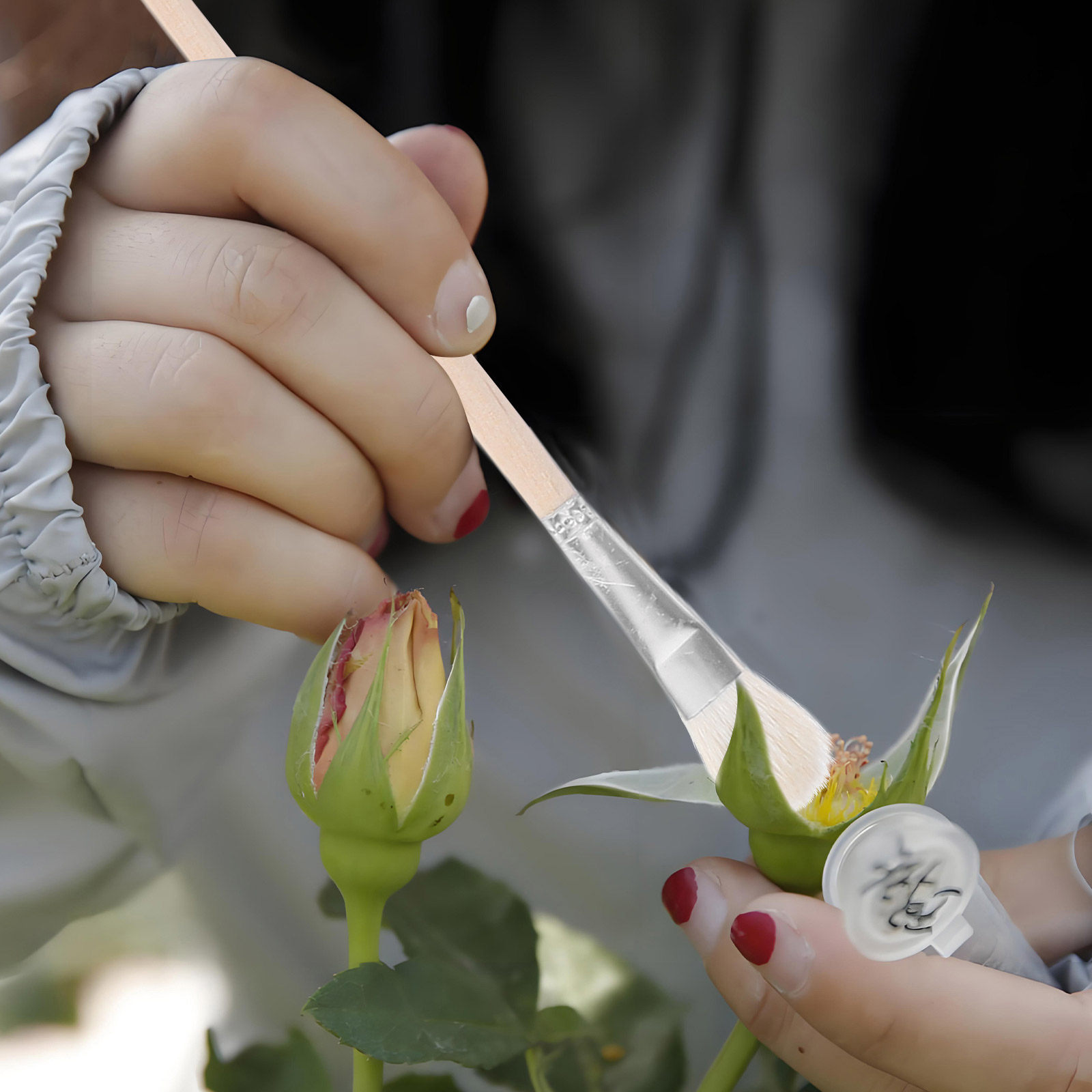 Gardening Tools Hand - 11-teiliges Handbestäubungsset für Sukkulenten, Obstbäume, Topfpflanzen,
