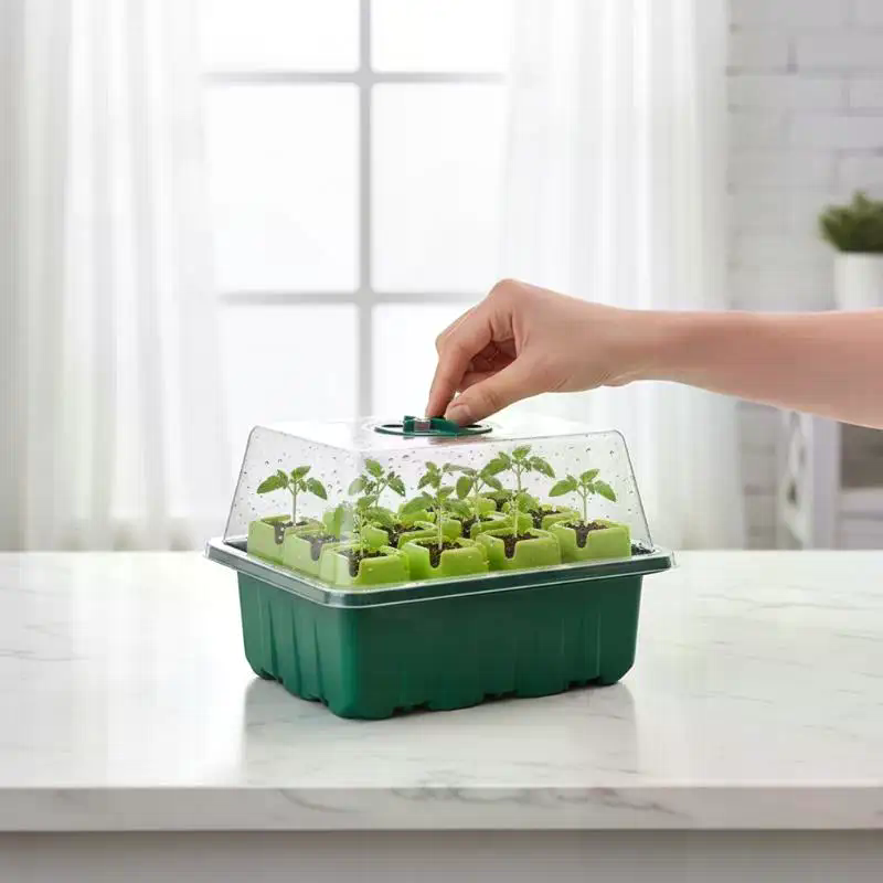 Propagation Tray Dome - 1 Set Anzuchtset für Samen, Mini-Gewächshaus,