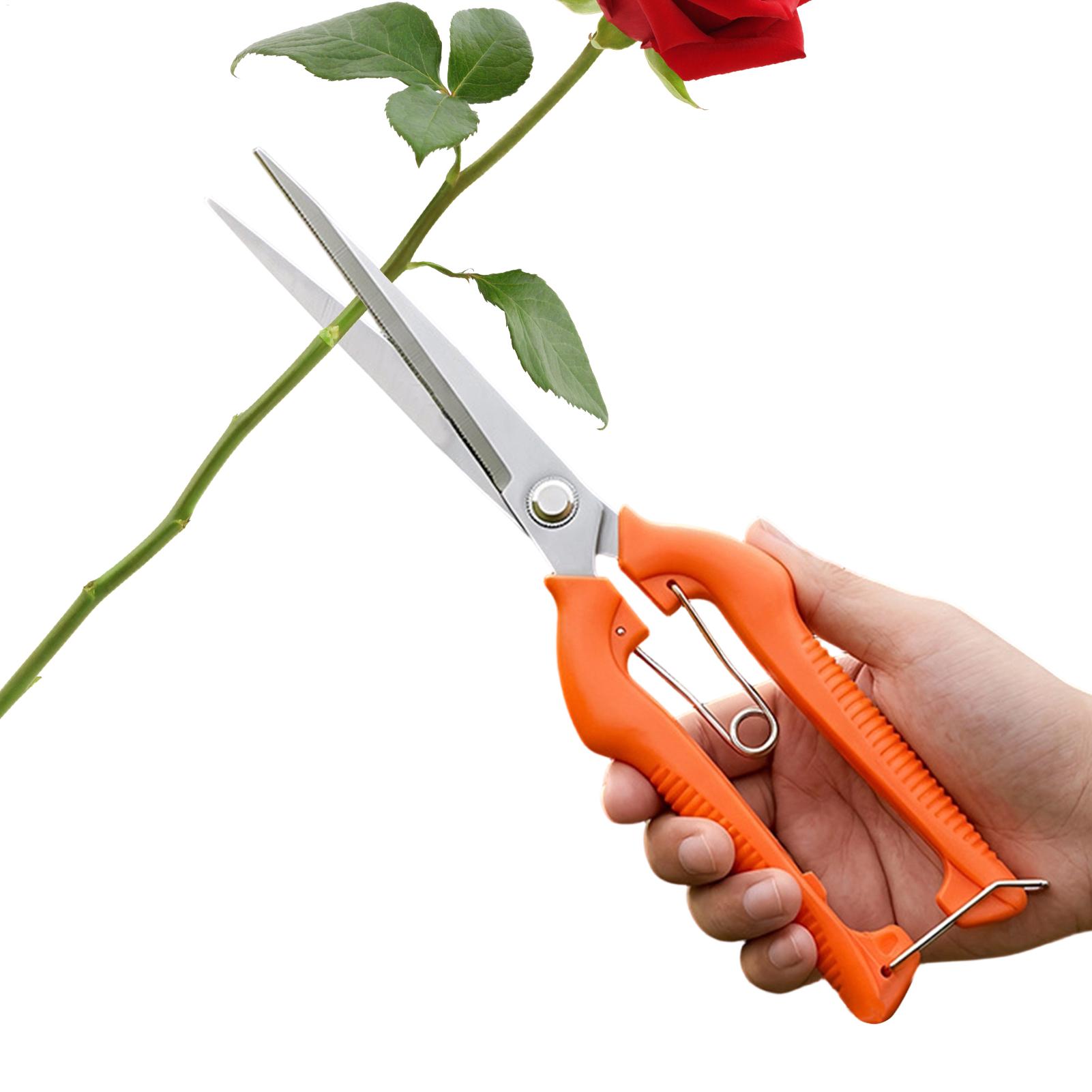 Gardening Tools For Beginners - Professionelle Gartenschere aus Edelstahl für Weintrauben,