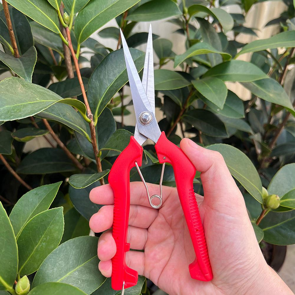 Gardening Tools Hand - Professionelle Gartenschere Verlängerte Baum- und Blumenschere