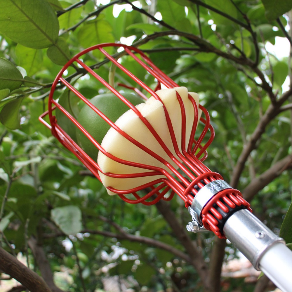 Gardening Tools Hand - Obstpflückerkopf aus Metall/Kunststoff ohne Stange, Obstsammler,