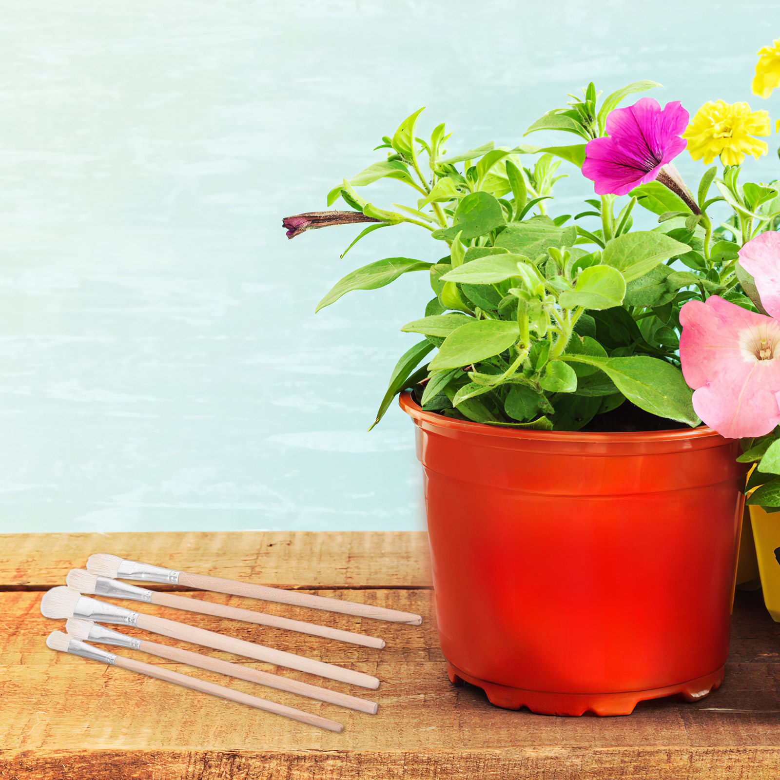 11-teiliges Handbestäubungsset – Gardening Tools Hand Bewertung und Preis