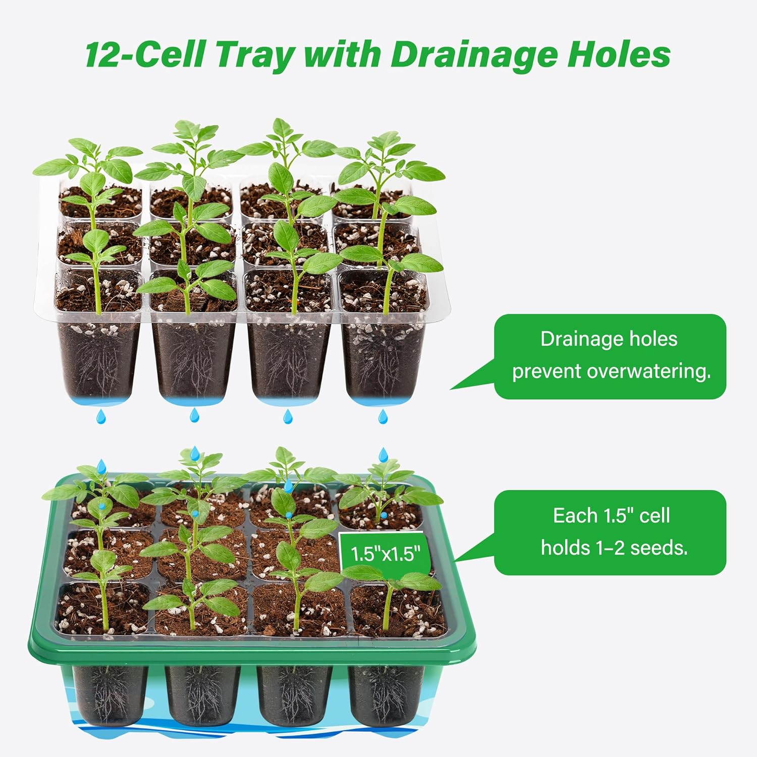 6/12 Grids Growing Starting Ki – Propagation Tray Dome Bewertung und Preis