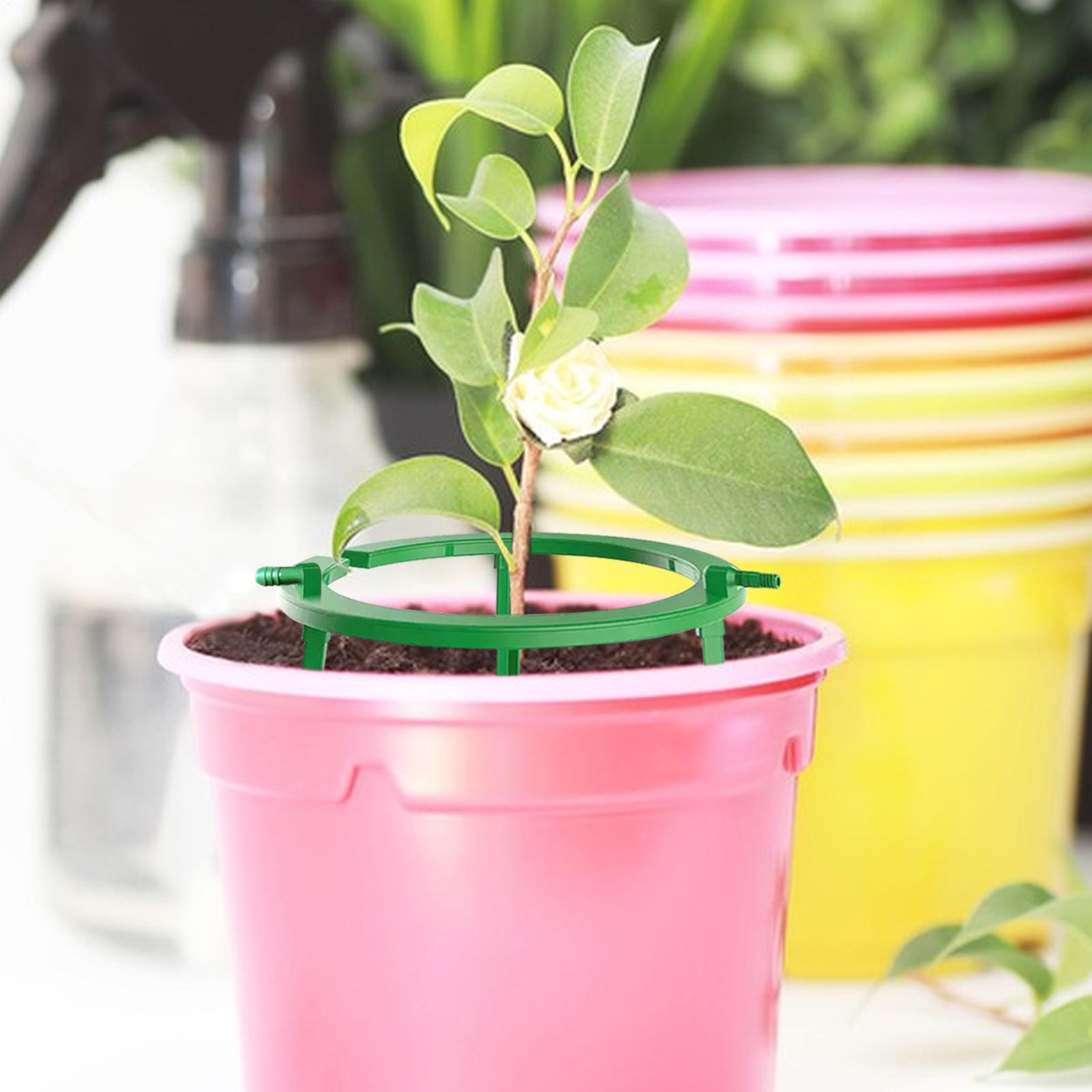 Pflanzenwasserring, Hydro-Ring – Gardening Tools Target Bewertung und Preis