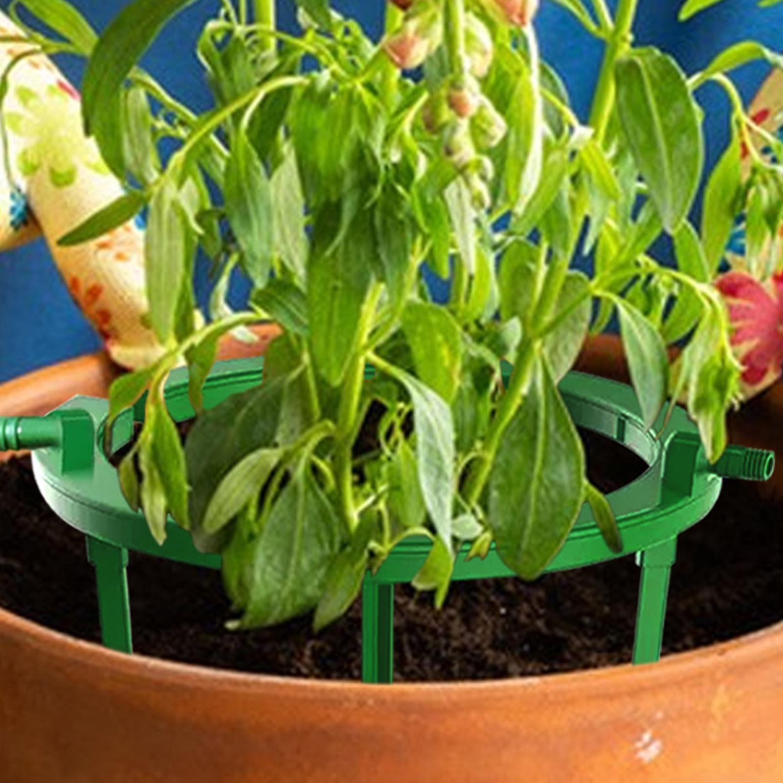 Pflanzenwasserring, Hydro-Ring – Gardening Tools Target Bewertung und Preis
