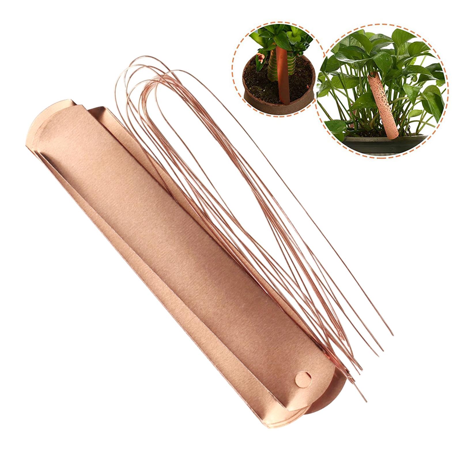 Kupferetiketten, lange, wetter – Garden Label Marker Bewertung und Preis