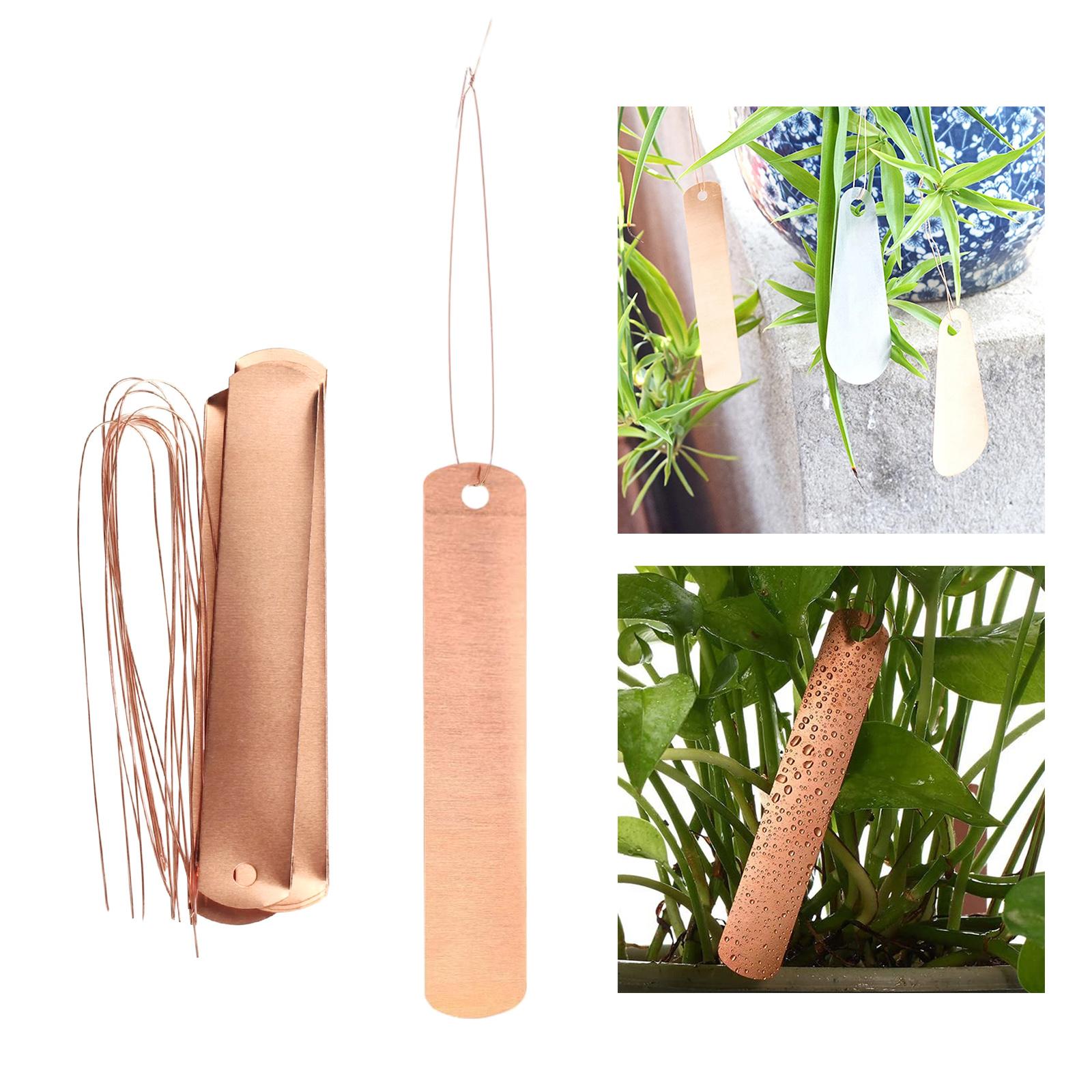 Kupferetiketten, lange, wetter – Garden Label Marker Bewertung und Preis