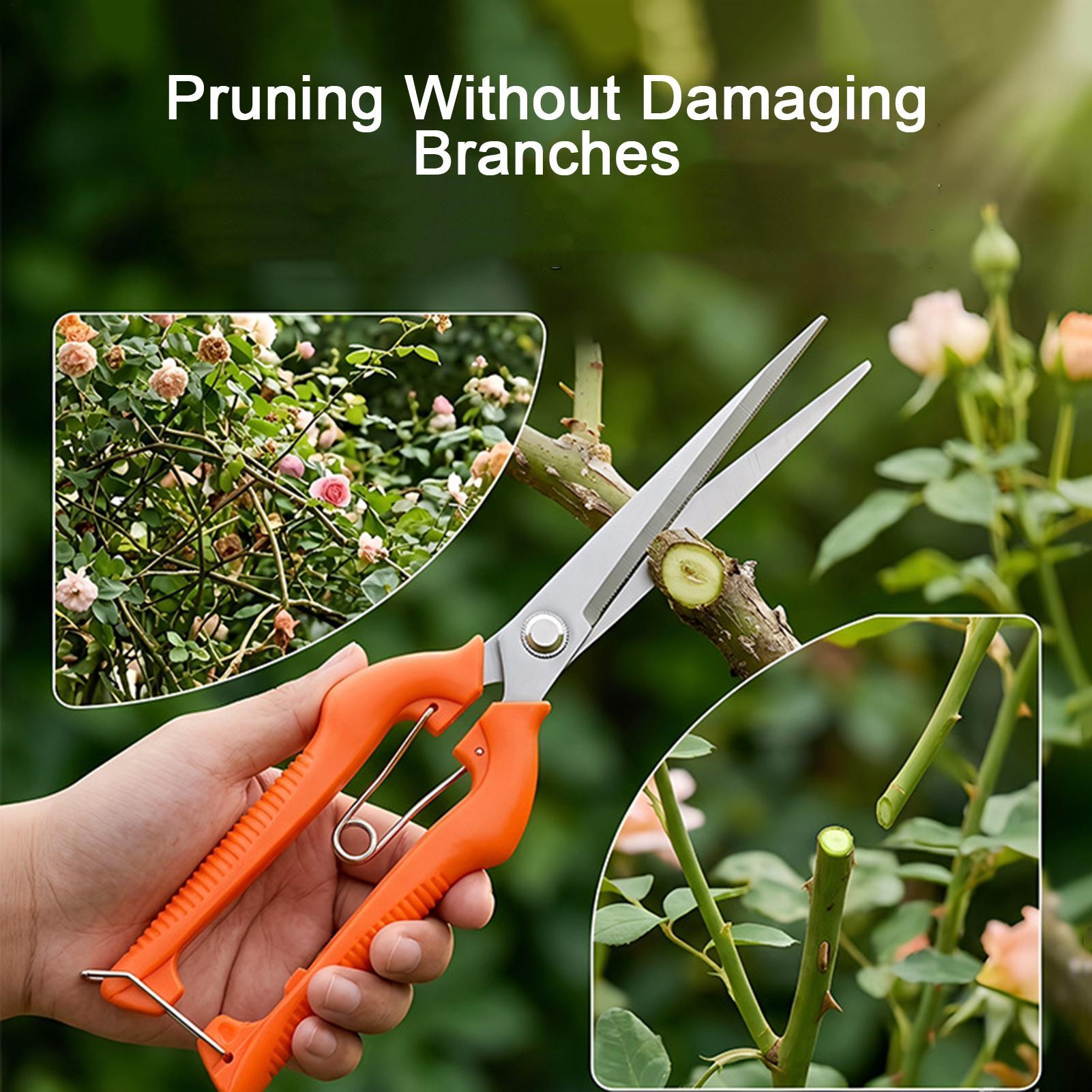 Professionelle Gartenschere au – Gardening Tools For Beginners Bewertung und Preis