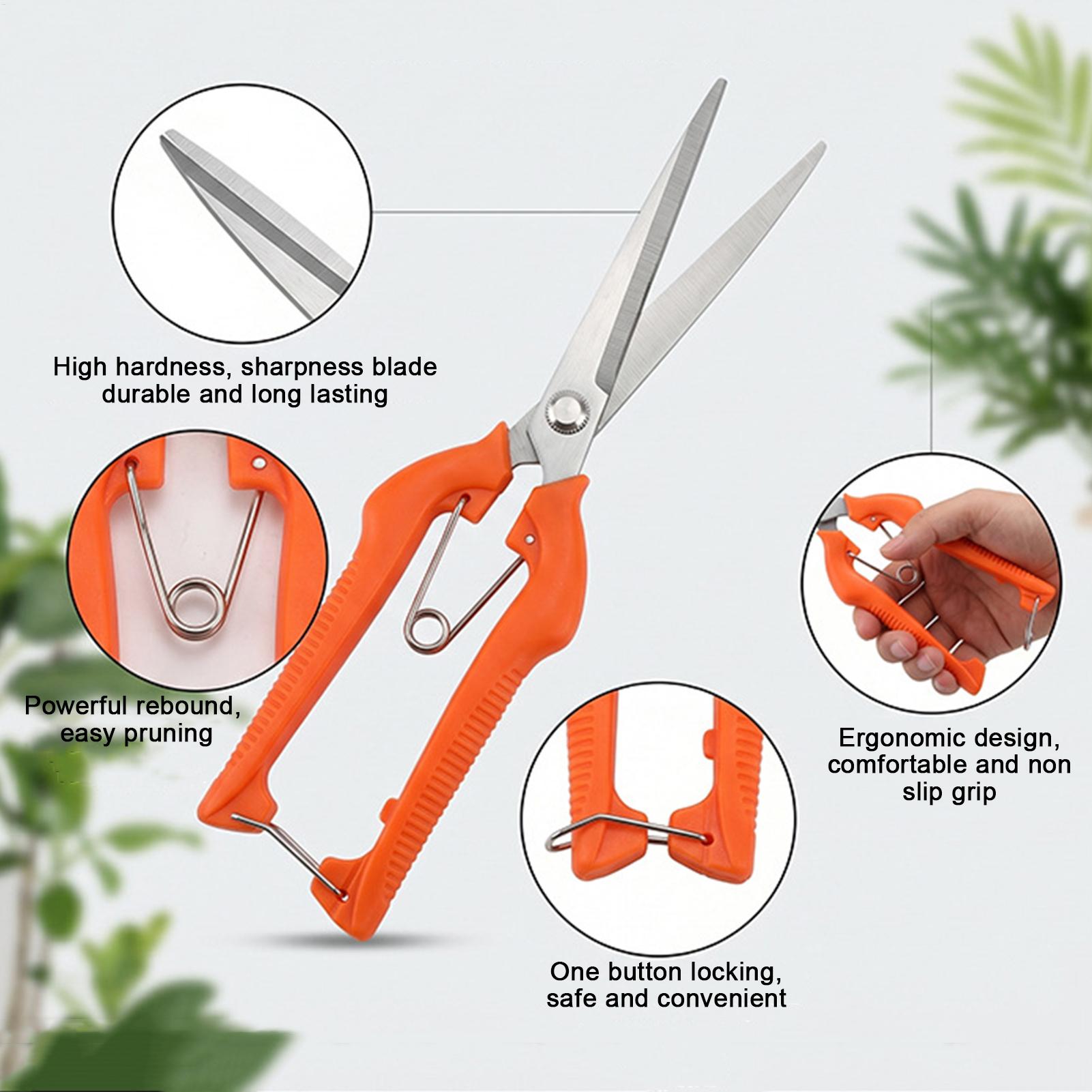 Professionelle Gartenschere au – Gardening Tools For Beginners Bewertung und Preis
