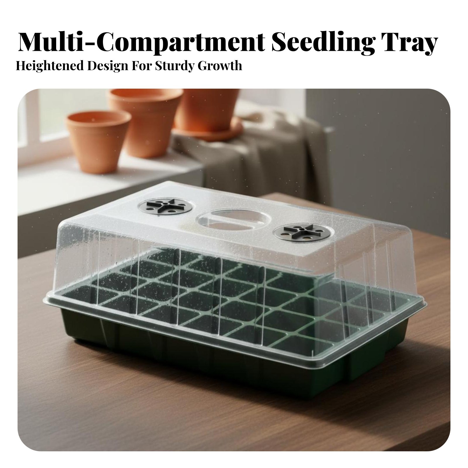 24-Fächer-Anzuchttablett mit t – Propagation Tray Dome Bewertung und Preis