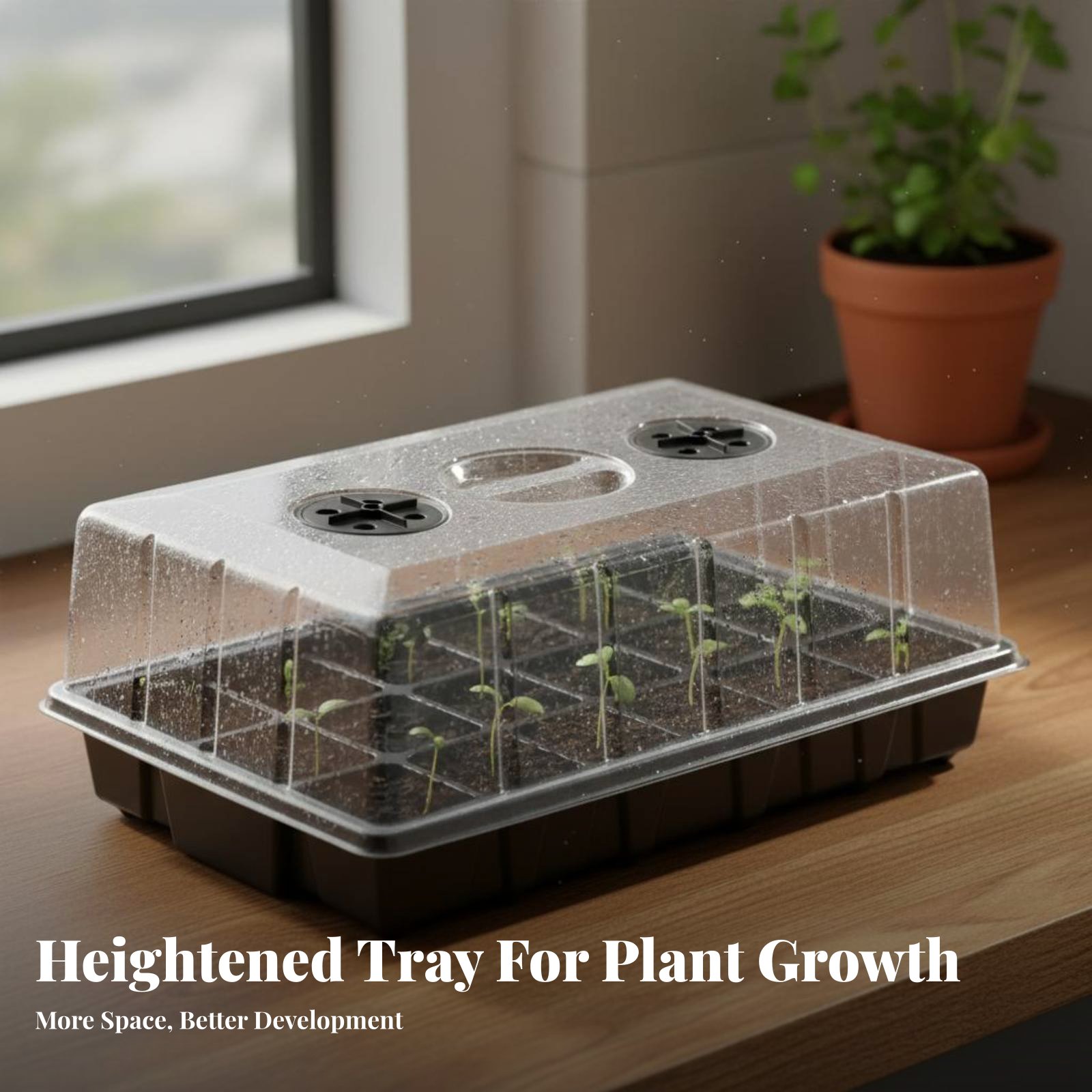 24-Fächer-Anzuchttablett mit t – Propagation Tray Dome Bewertung und Preis