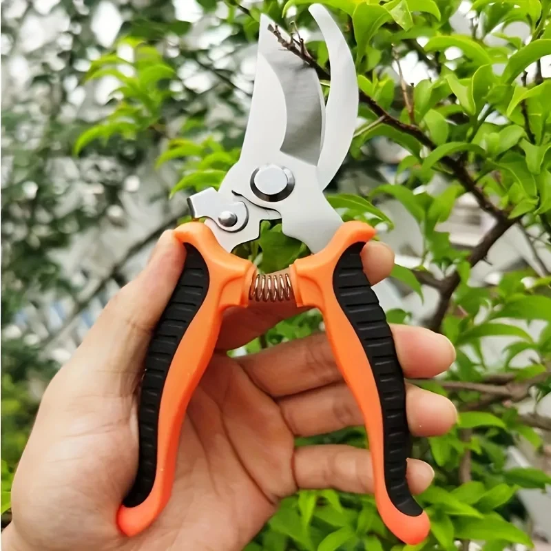 Professionelle Gartenschere au – Gardening Tools On Sale Bewertung und Preis