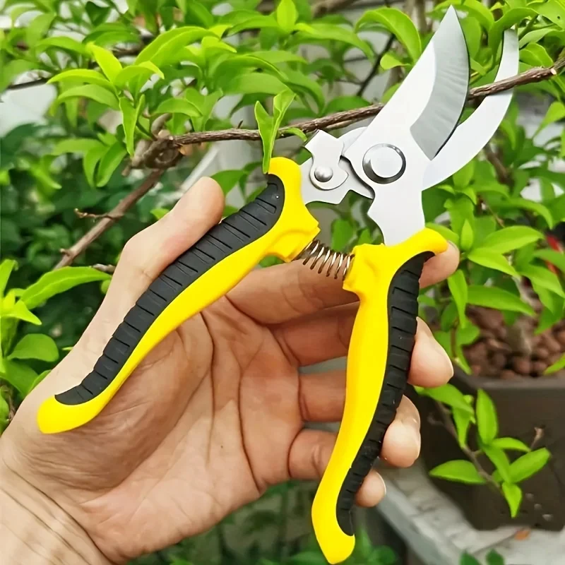 Professionelle Gartenschere au – Gardening Tools On Sale Bewertung und Preis