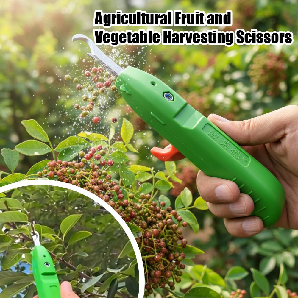Obst- und Gemüse-Ernteschere,  – Gardening Tools Hand Bewertung und Preis