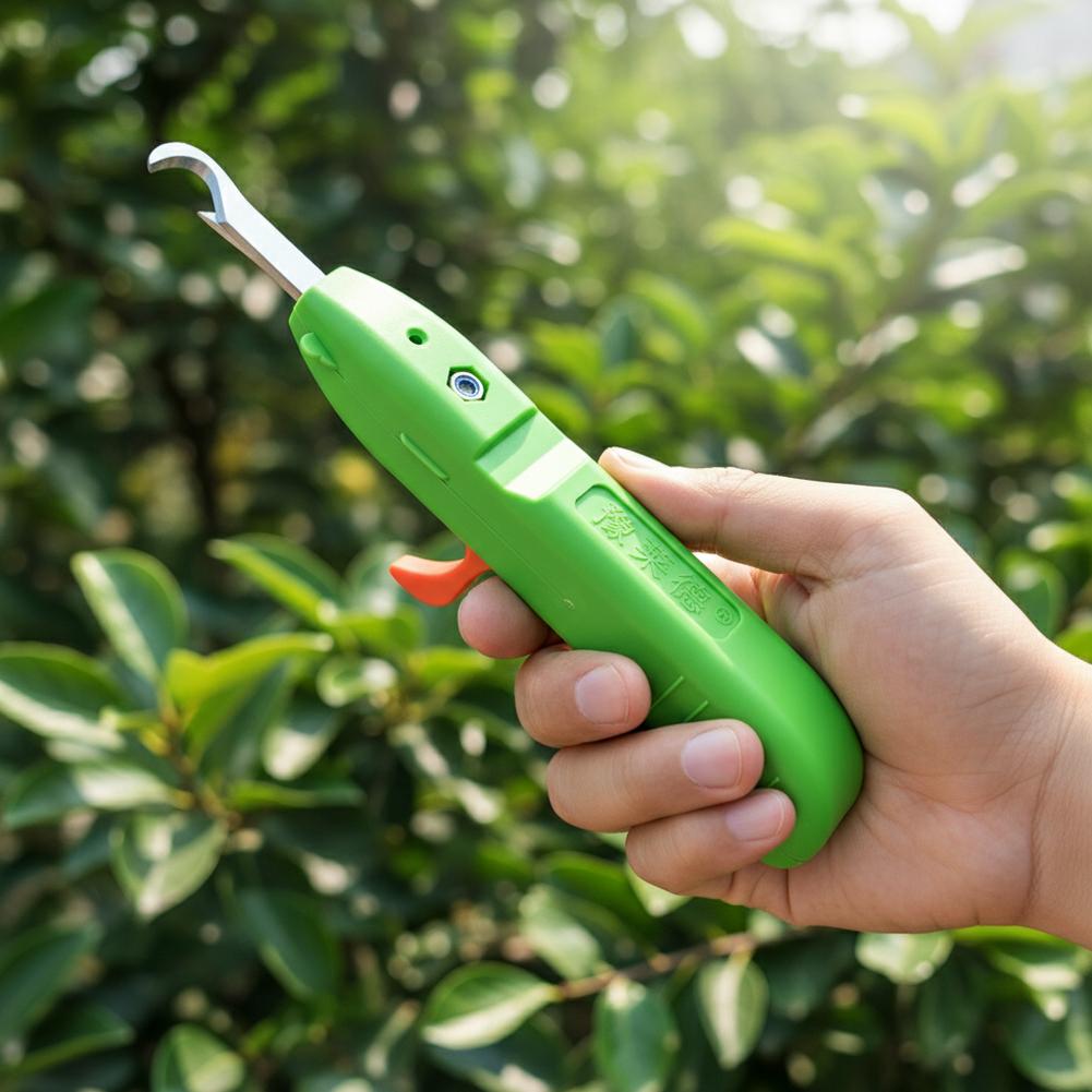 Obst- und Gemüse-Ernteschere,  – Gardening Tools Hand Bewertung und Preis