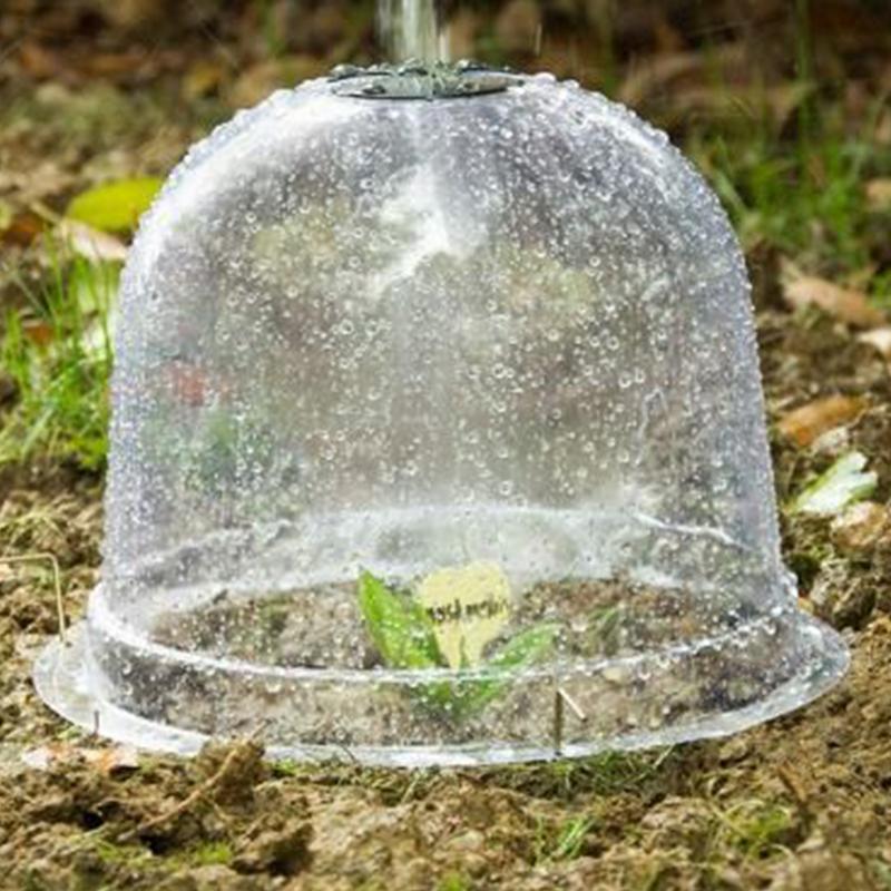 Pflanzenfeuchtigkeitskuppel, G – Propagation Tray Dome Bewertung und Preis