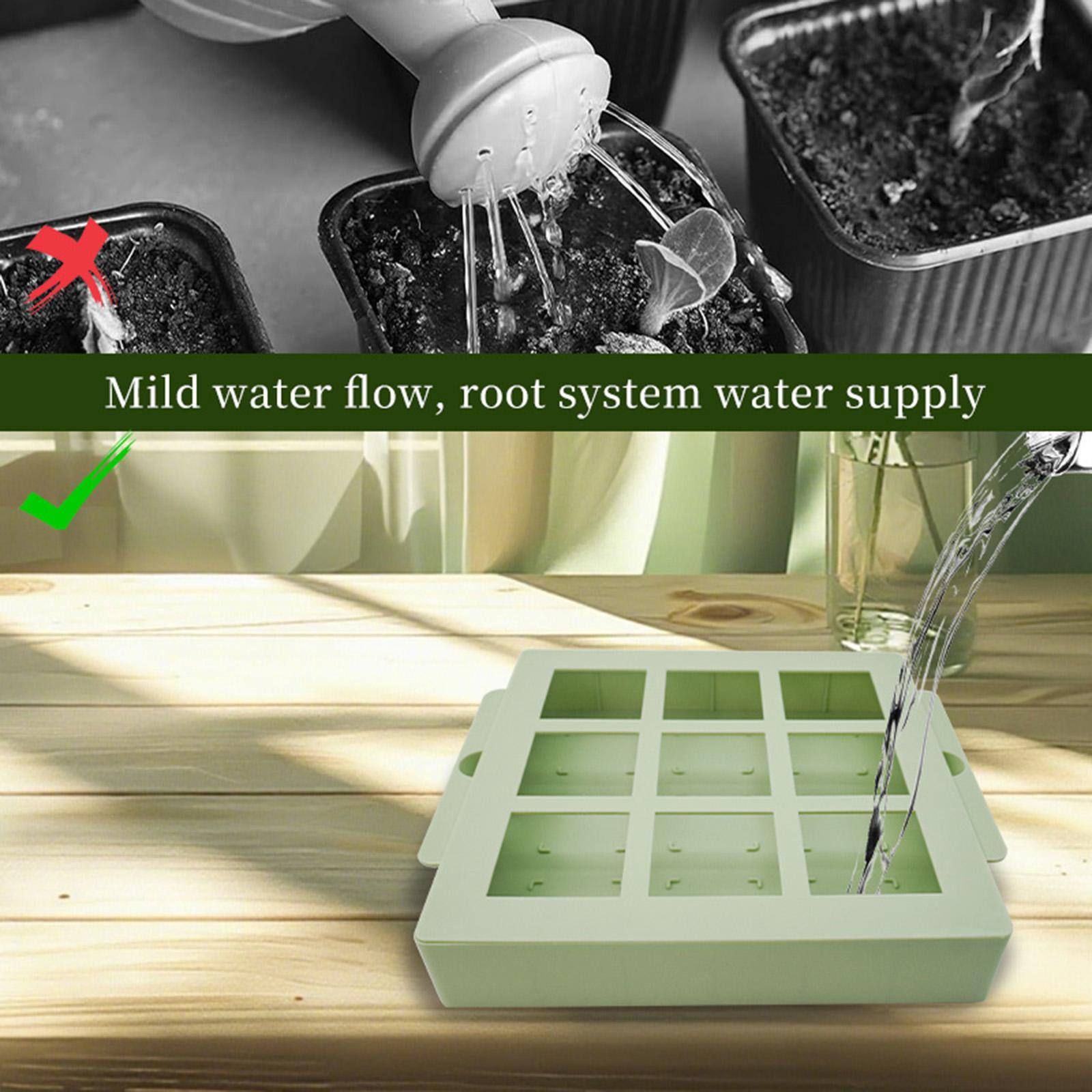 Pflanzen-Starter-Set Wiederver – Propagation Tray Dome Bewertung und Preis