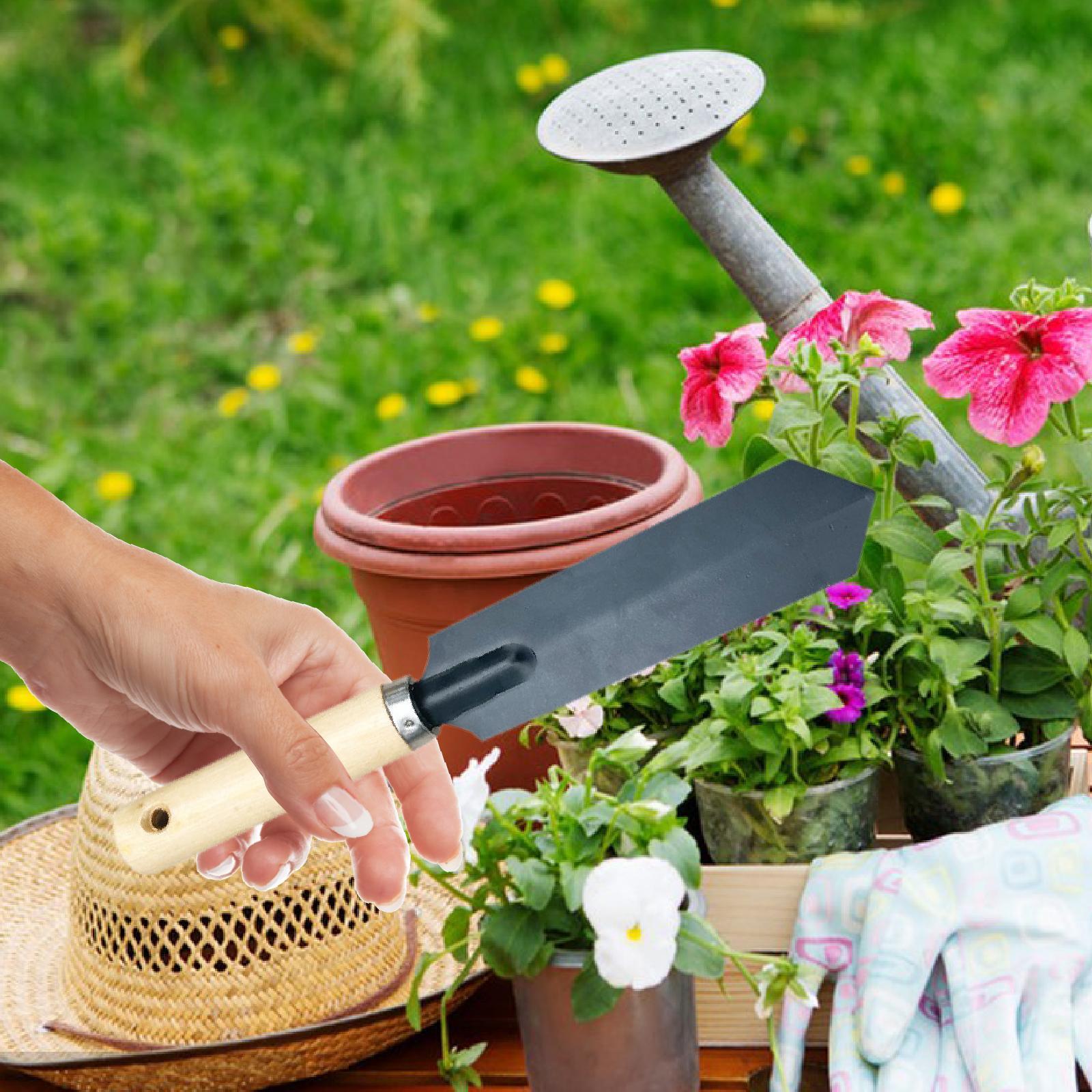 Kleines Gartenspaten-Grabwerkz – Gardening Tools Hand Bewertung und Preis