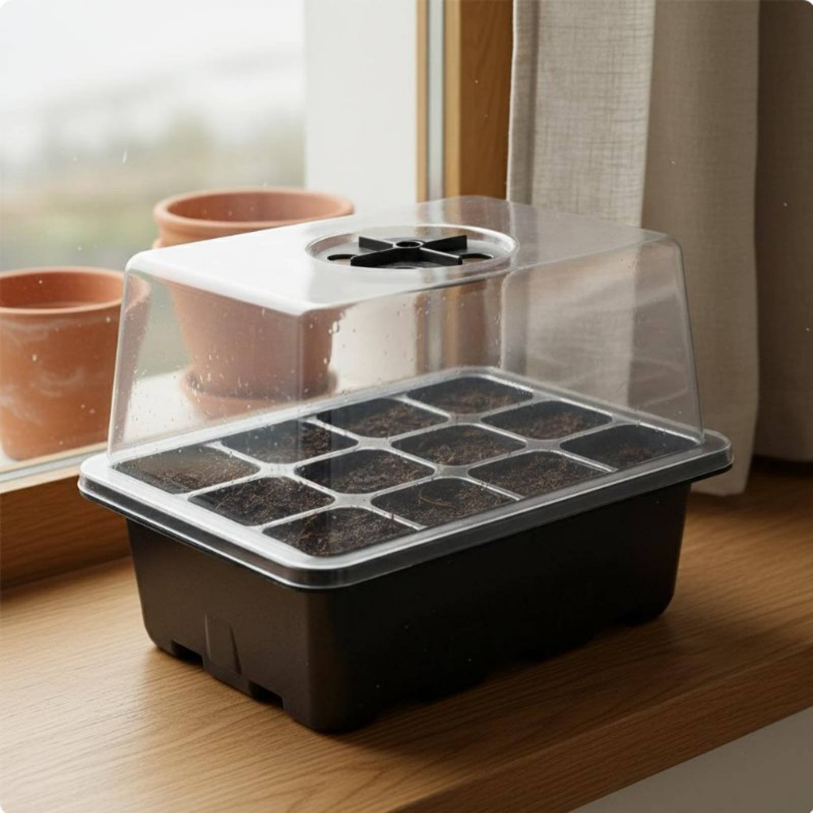 12-Fach Anzuchtschale mit Tran – Propagation Tray Dome Bewertung und Preis