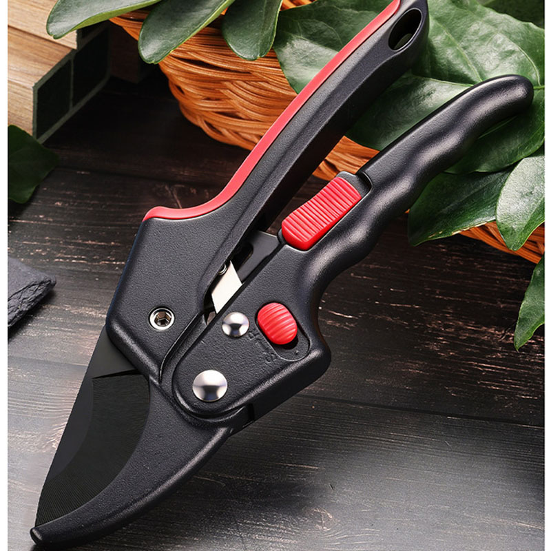 Robuste Ratschen-Gartenschere, – Gardening Tools On Sale Bewertung und Preis