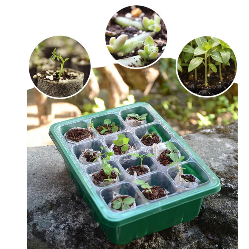 6/12 Löcher Samen Starter Tabl – Propagation Tray Dome Bewertung und Preis