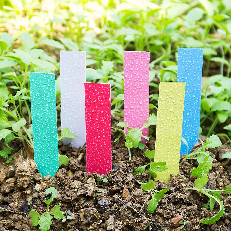 100 stücke Dicke 4 zoll Pflanz – Garden Label Marker Bewertung und Preis