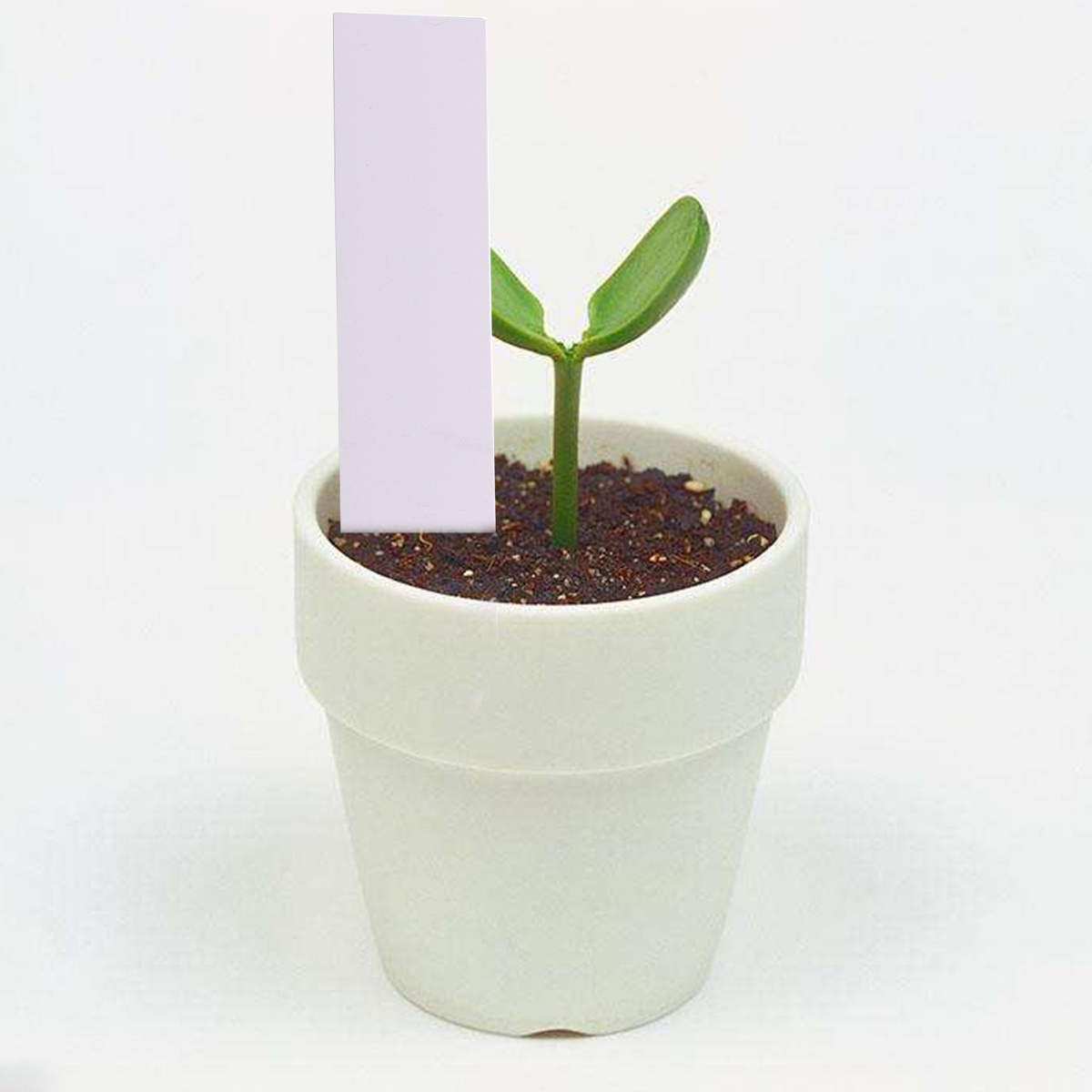 100 Stück Garten-Pflanzenetike – Garden Label Marker Bewertung und Preis