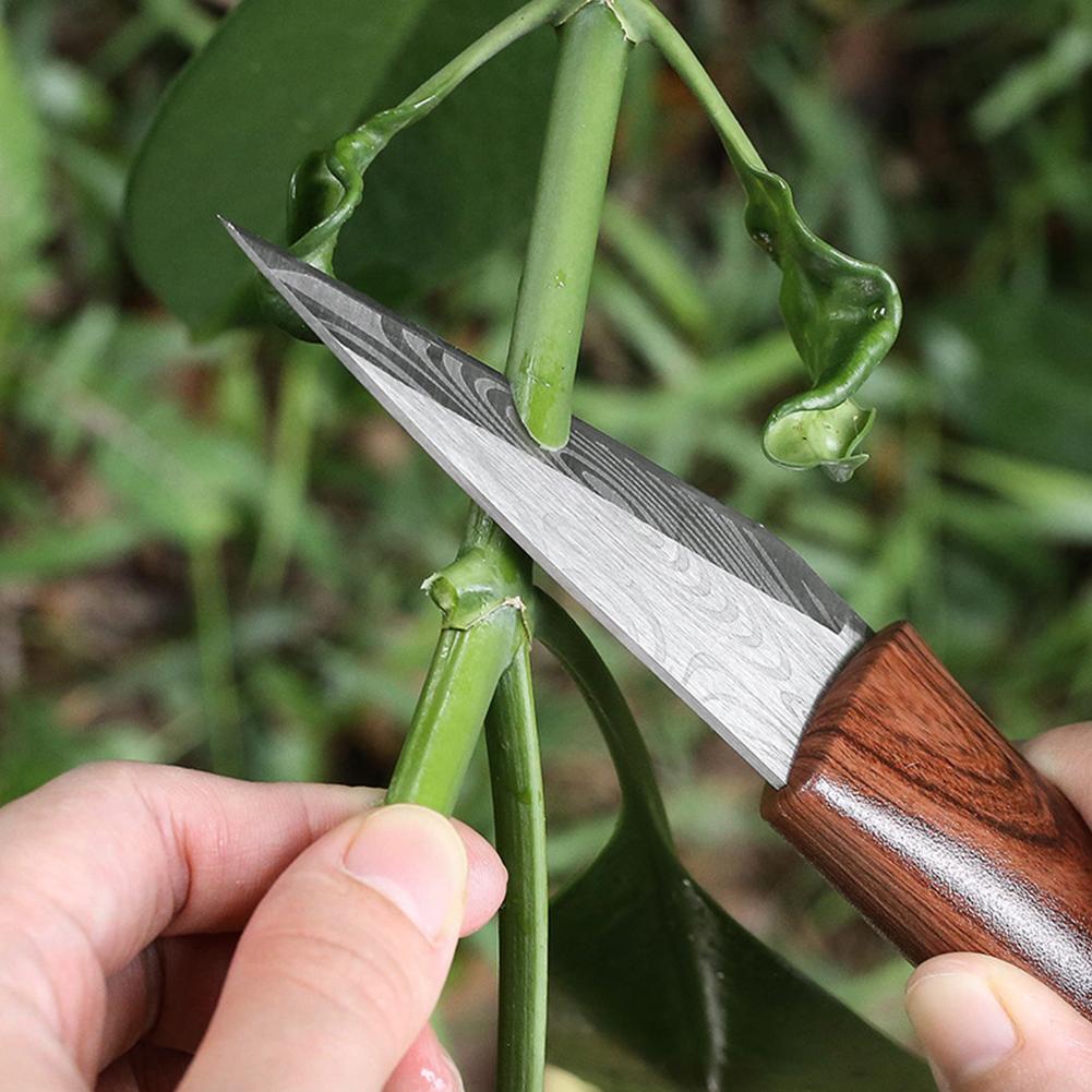 Scharfes Veredelungsmesser mit – Gardening Tools For Beginners Bewertung und Preis