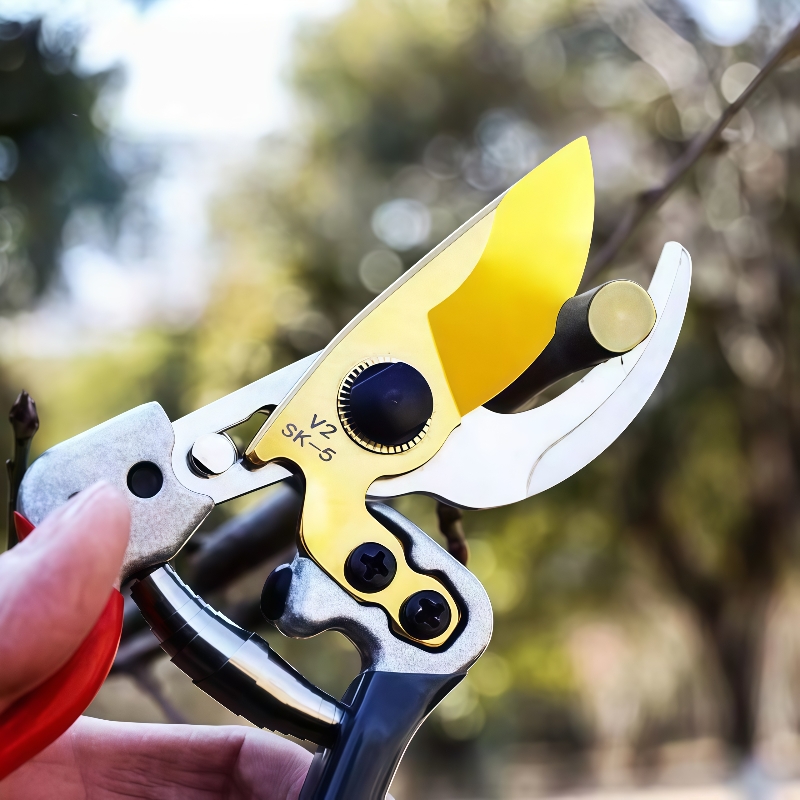 Gartenbauschere trimmen Zweige – Gardening Tools On Sale Bewertung und Preis