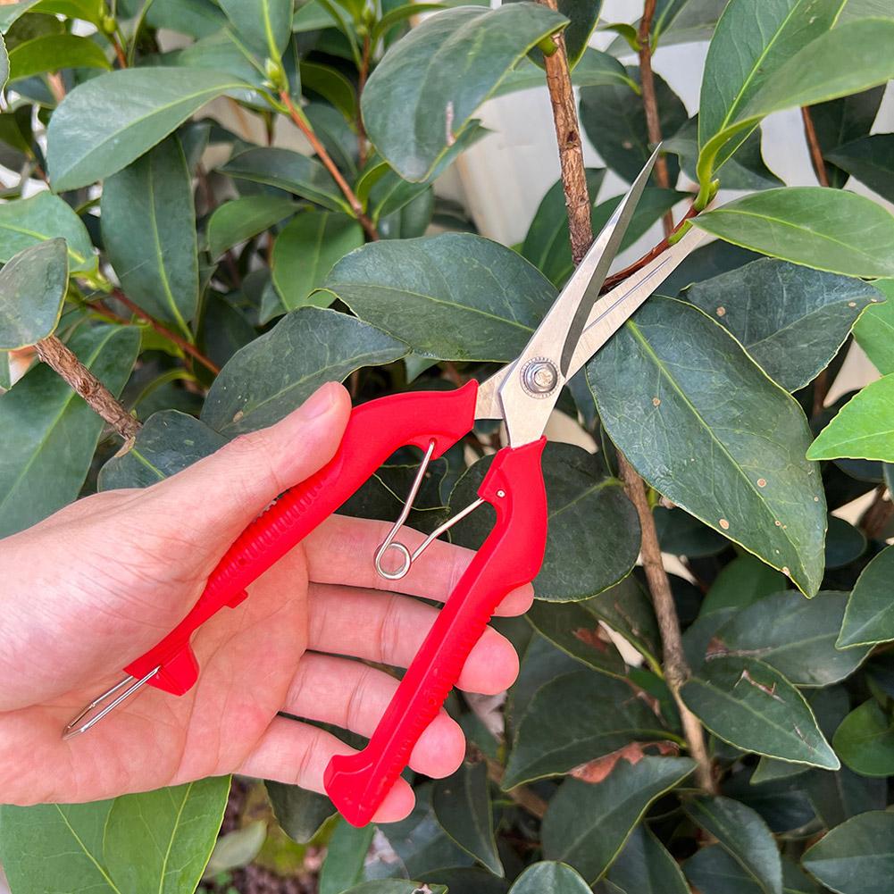 Professionelle Gartenschere Ve – Gardening Tools Hand Bewertung und Preis