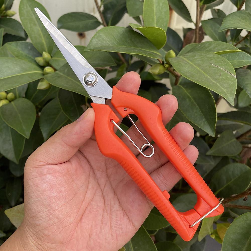 Professionelle Gartenschere Ve – Gardening Tools Hand Bewertung und Preis