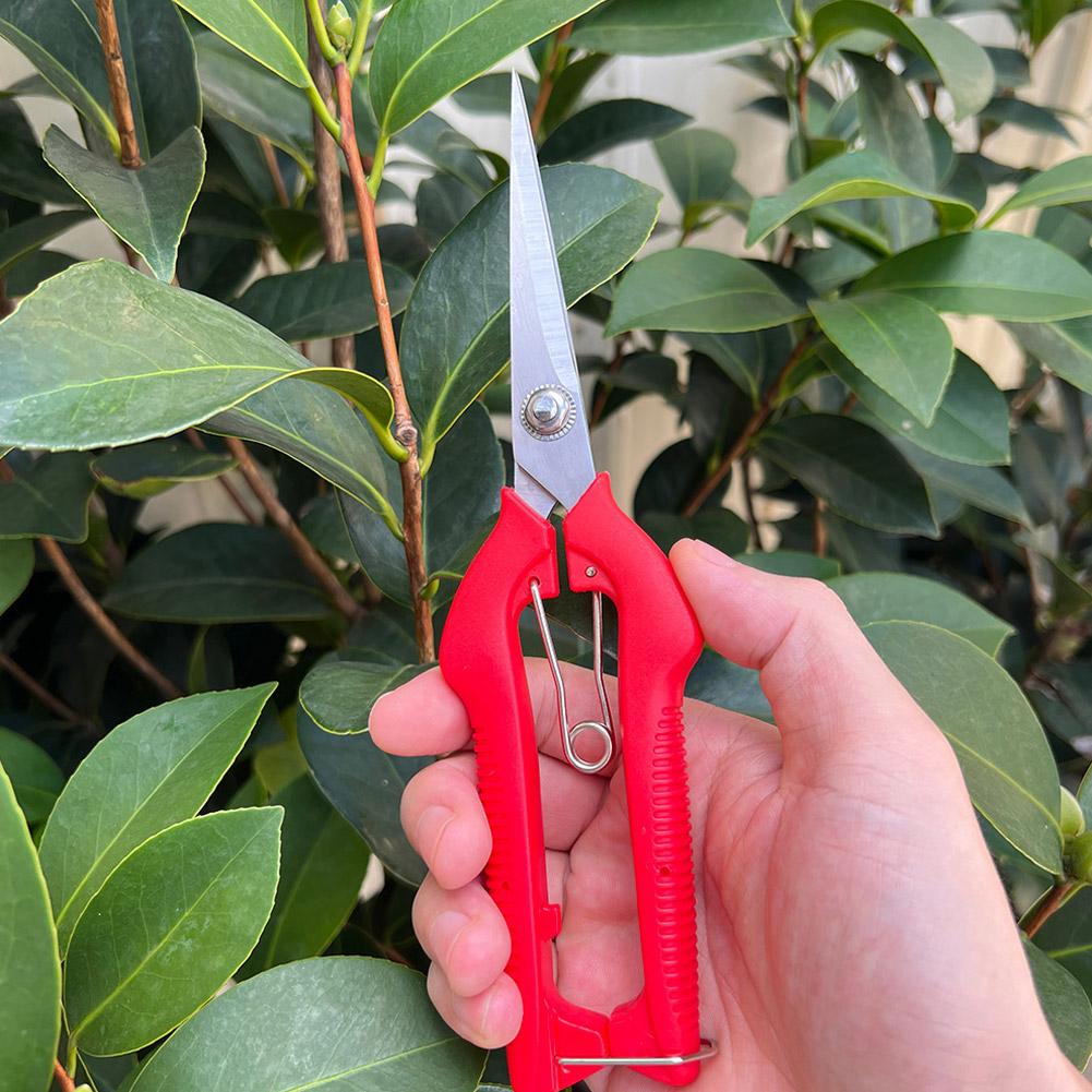 Professionelle Gartenschere Ve – Gardening Tools Hand Bewertung und Preis