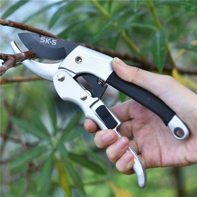 Neue 20 cm Ratsche Pflanzen Tr – Gardening Tools For Beginners Bewertung und Preis