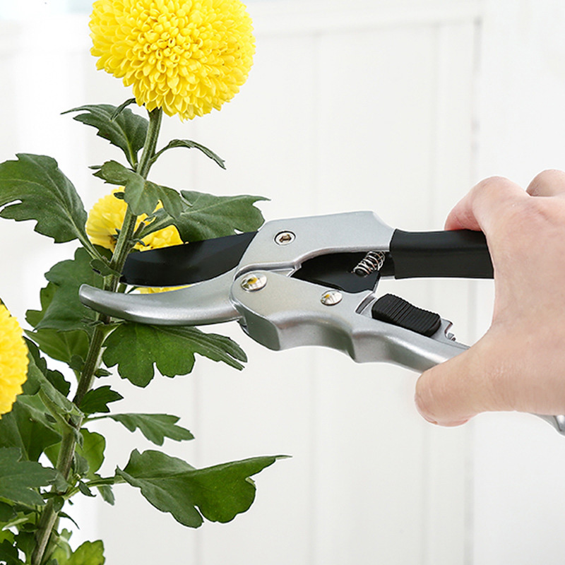 Neue 20 cm Ratsche Pflanzen Tr – Gardening Tools For Beginners Bewertung und Preis