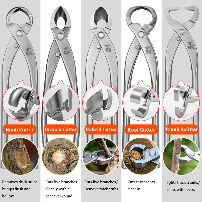 Premium-Bonsai-Werkzeugset aus – Gardening Tools Australia Bewertung und Preis