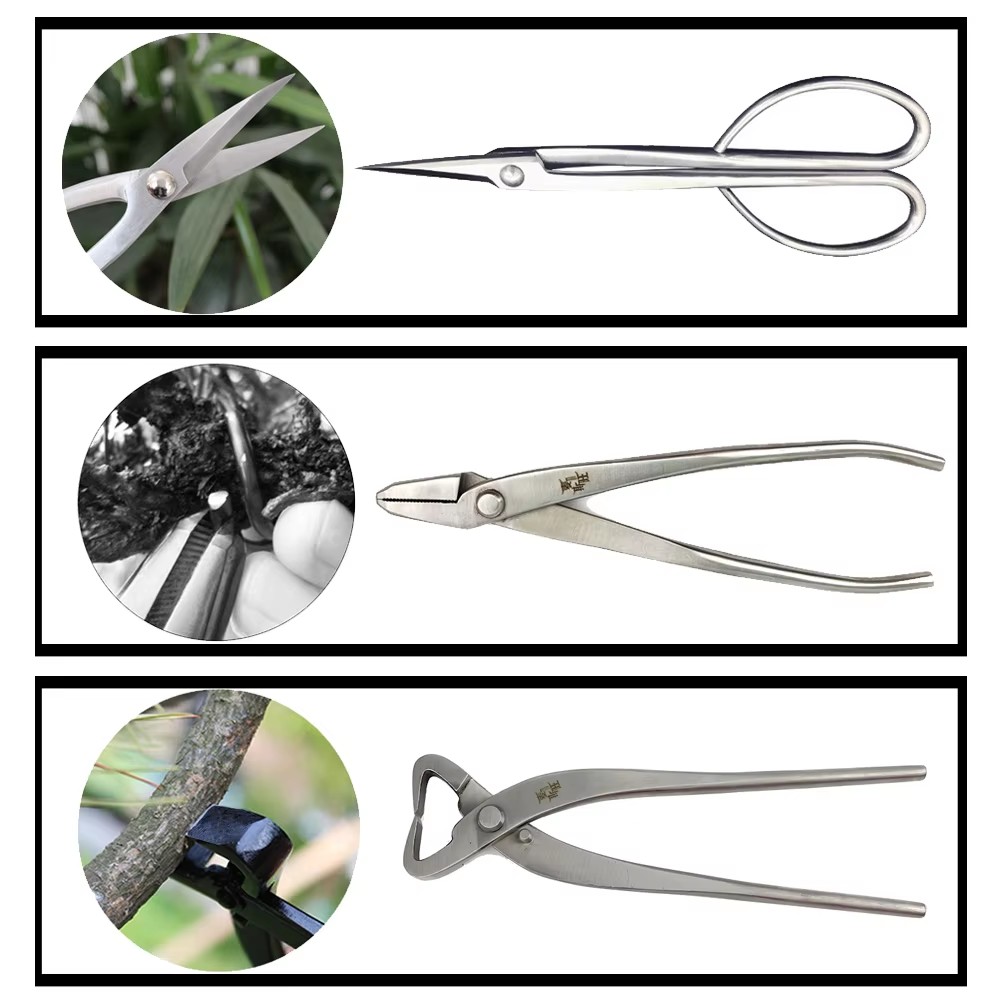 Premium-Bonsai-Werkzeugset aus – Gardening Tools Australia Bewertung und Preis