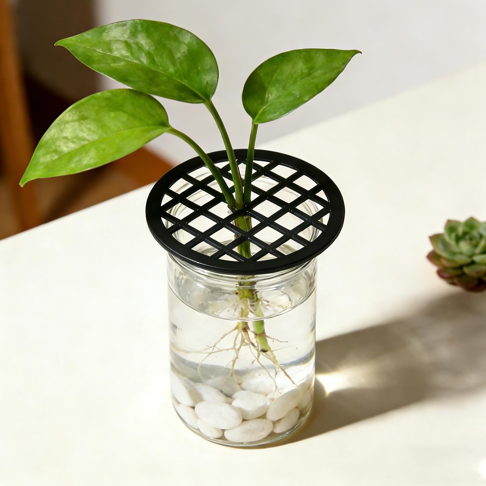 Pflanzenzweigunterstützung, 4  – Propagation Tray Dome Bewertung und Preis