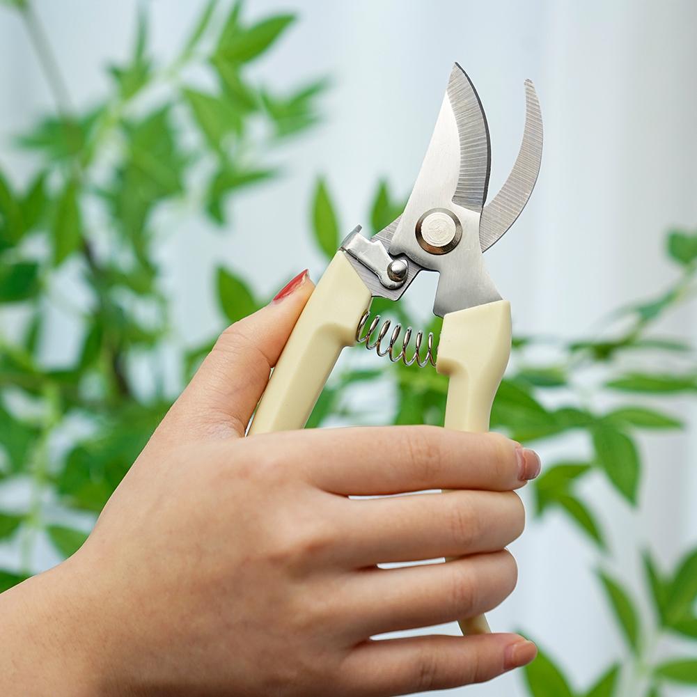 Gartenschere für Pflanzen, Gar – Gardening Tools Australia Bewertung und Preis